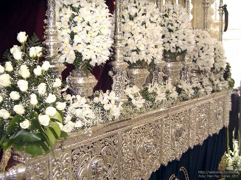 2005d5a-nazmayordolorjuzgado2g.jpg
